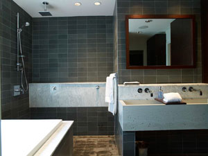 1310 Guess Bathroom Remodel